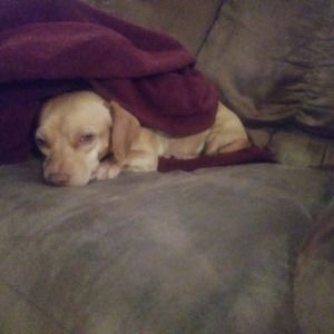 Meet your Posher, Nathaniel